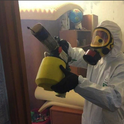 Уничтожение клопов в квартире. Бутурлиновка